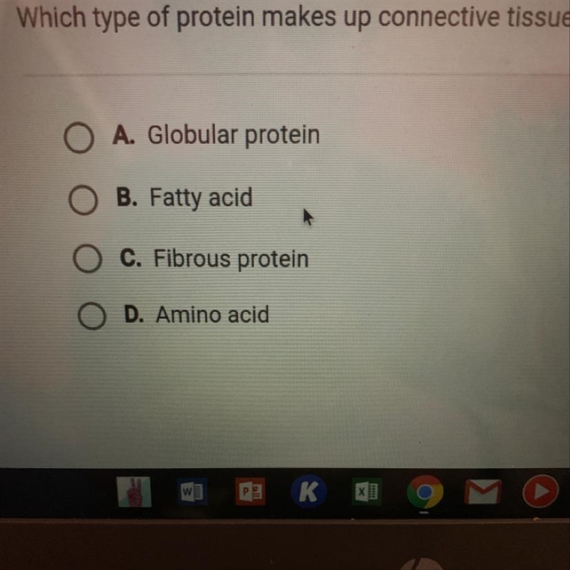 What type of protein makes up connective tissue?-example-1