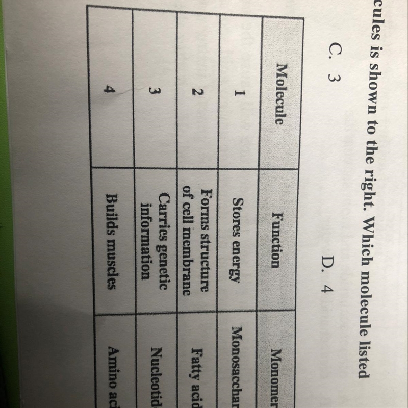 Which molecule listed in the chart is a protein-example-1