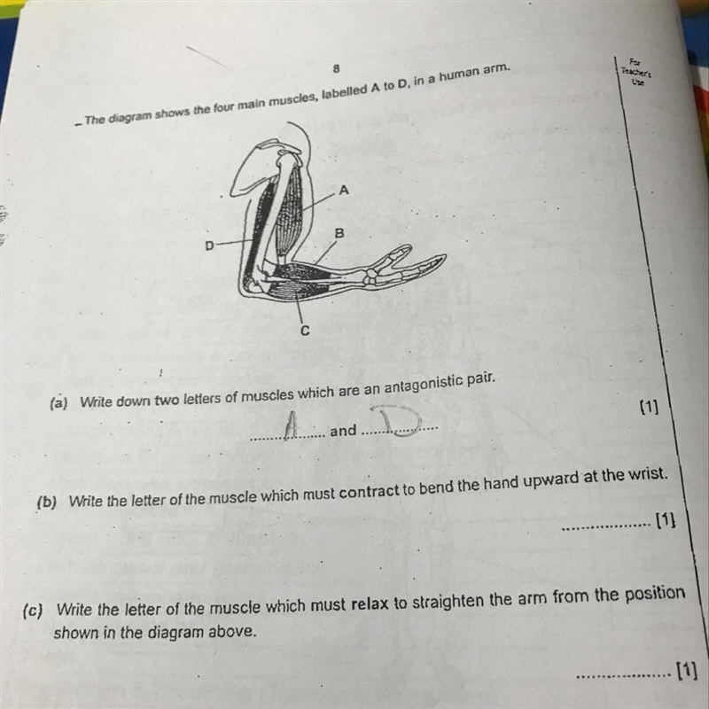 What is the answer of b-example-1