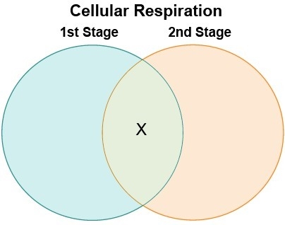 ( NEEDED ASAP ) Eliana made a Venn diagram to compare and contrast the two stages-example-1