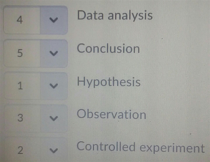 Place the steps of the Scientific Method in order.-example-1