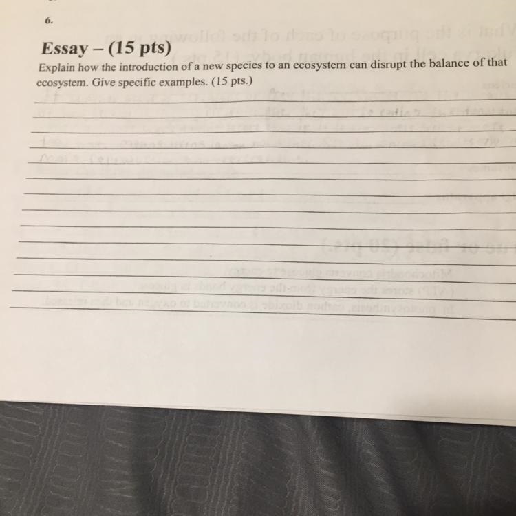 Can someone pls help me with the essay pls I would really appreciate it-example-1