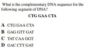 Hi, biology help needed! Thanks for the help!-example-2