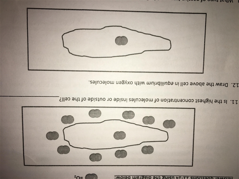 I need help with both questions.-example-1