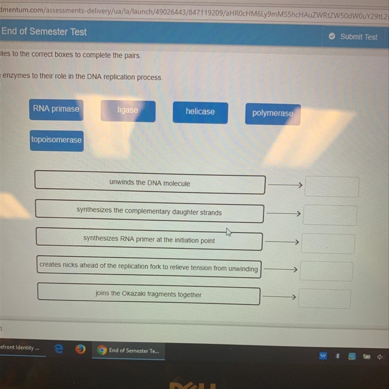 Match enzymes to their role in the DNA replication process-example-1