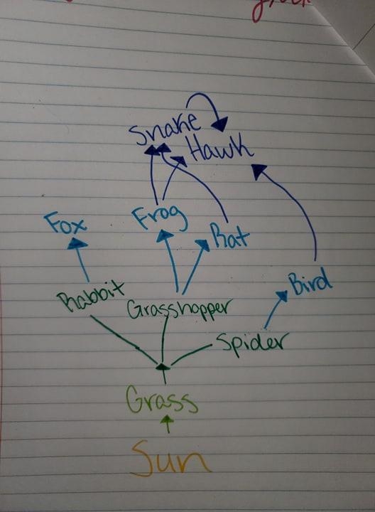 1. What would occur if decomposers were removed from the environment? 2. How would-example-1