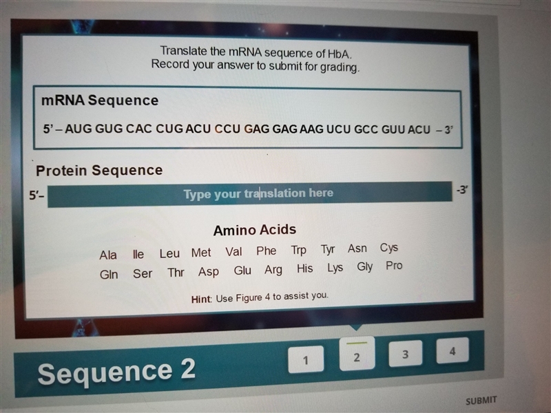 Translate the mrna sequence to hba 5'-AUG GUG CAC CUG ACU CCU GAG GAG AAG UCU GCC-example-1