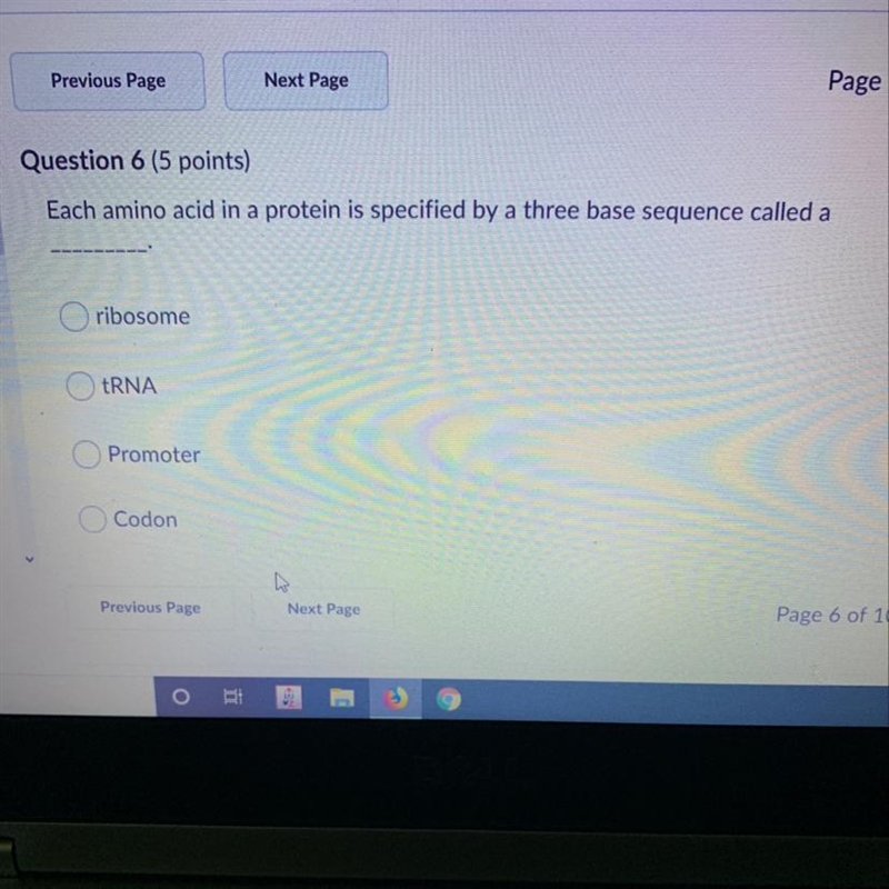 Each amino acid in a protein is specified by a three base sequence called ?-example-1