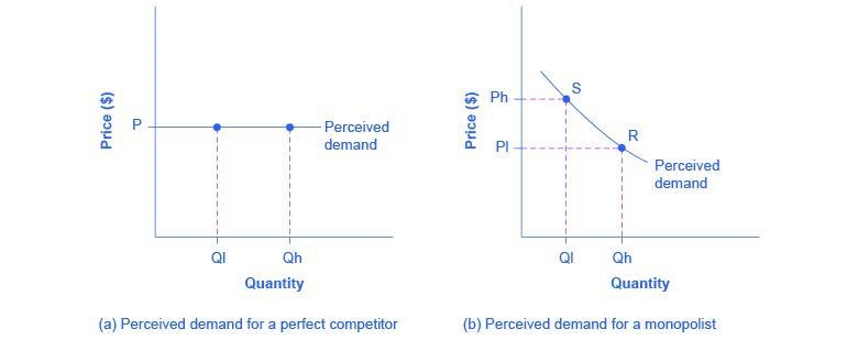 Explain the difference between the demand curve faced by a perfectly competitive firm-example-1