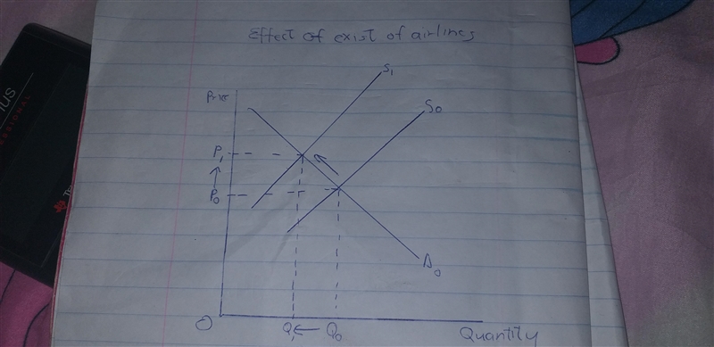 The market price of airline flights increased recently. Some economists suggest that-example-1