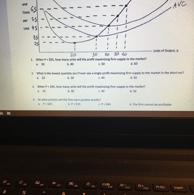 Prefectly comparative firm maximizing-example-1