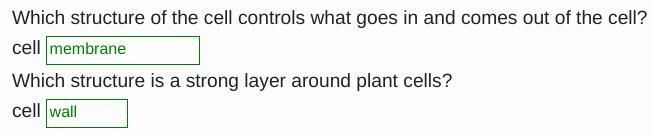 Which structure of the cell controls what goes in and comes out of the cell? cell-example-1