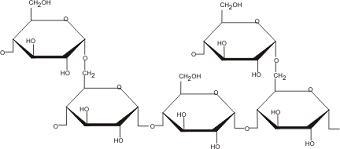 Draw a structure of glycogen with two alpha (1>4) linkages and two alpha (1&gt-example-1