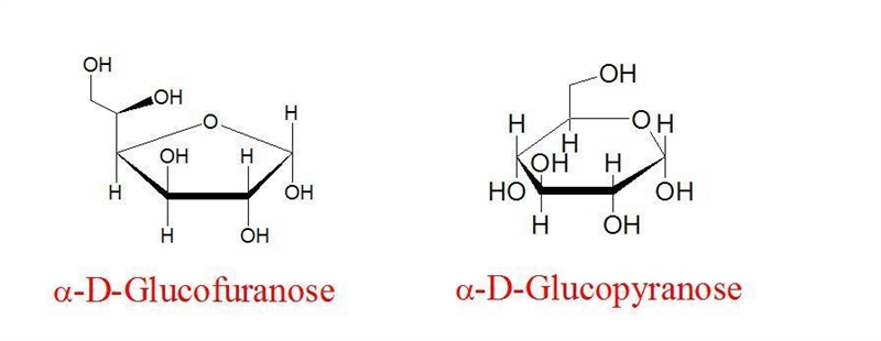 Explain what the terms "Pyranose" and "Furanose" represent-example-1