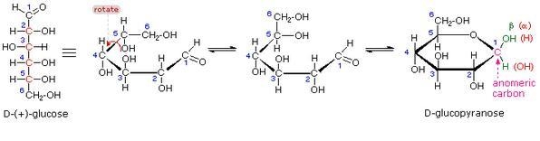 Which of the following statements does NOT describe the anomeric carbon? A. This carbon-example-1