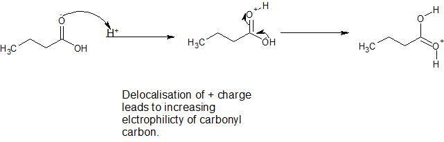 Why do you require an acid catalyst to make an ester? Why not just mix acid and alcohol-example-1