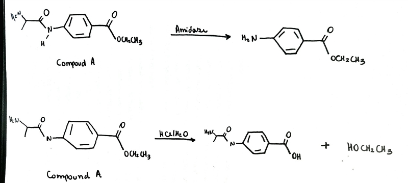 Compound A serves as a prodrug for the analgesic benzocaine. (A prodrug is a pharmacologically-example-1