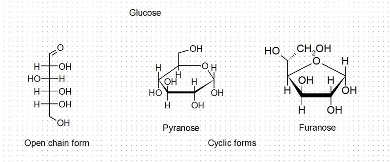 Glucose prefers an open-chain conformation in aqueous solution(T/F)-example-1