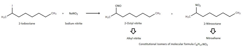 Sodium nitrite (NaNO2)reacted with 2−iodooctane to give a mixture of two constitutionally-example-1