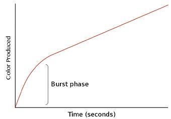 Kinetics of chymotrypsin shows a biphasic pattern; the burst phase and the steady-example-1