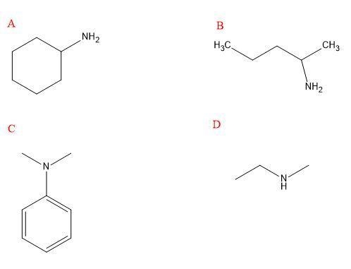 Draw the structures of each of the amines. Mark as primary, secondary or tertiary-example-1