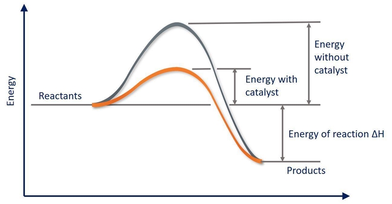 Which of the following statements about catalysts is false? A catalyst provides a-example-1