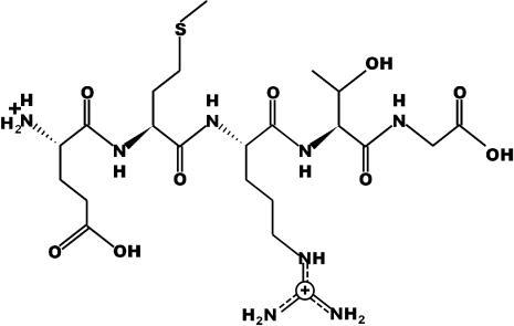 Exercise : For the pentapeptide Glu- met-Arg - Thr-Gly (a) Name the carboxyl - terminal-example-3