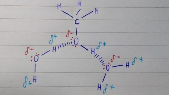 Draw two water molecules interacting with a methanol (CH3OH) molecule through hydrogen-example-1