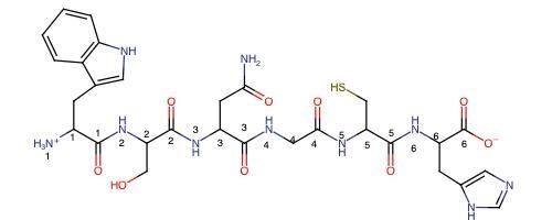 Can you draw the peptide structure at pH 7.0 (including peptide bonds) Peptide bond-example-1