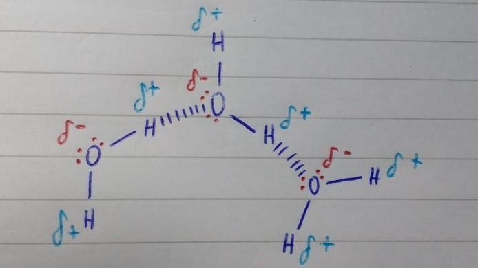 raw three water molecules interacting with each other. Indicate hydrogen-bonding with-example-1