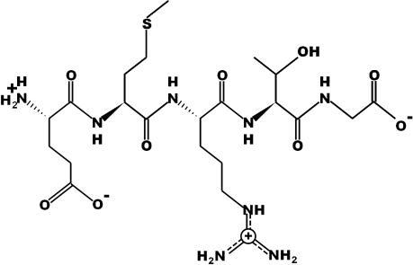 Exercise : For the pentapeptide Glu- met-Arg - Thr-Gly (a) Name the carboxyl - terminal-example-1