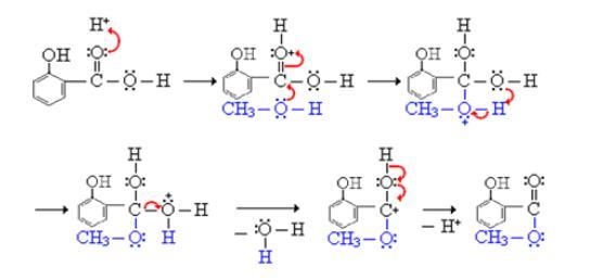 What is the reaction scheme for the experiment of synthesis of methyl salicylate-example-1