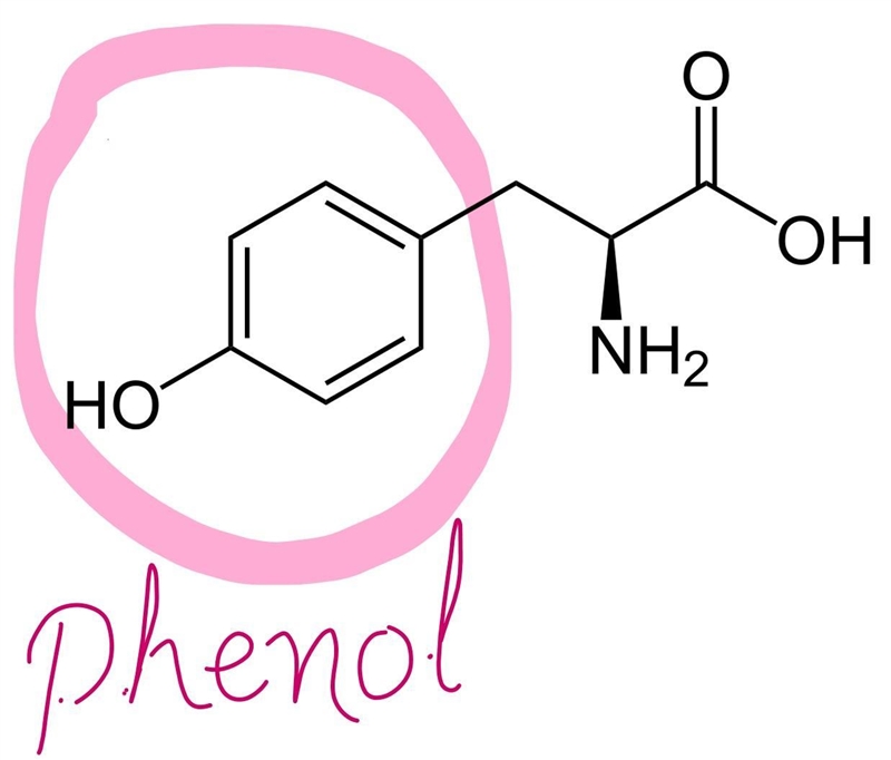 (c) Draw the structure of any two aminoacids which bears a heterocyclic unit as all-example-2