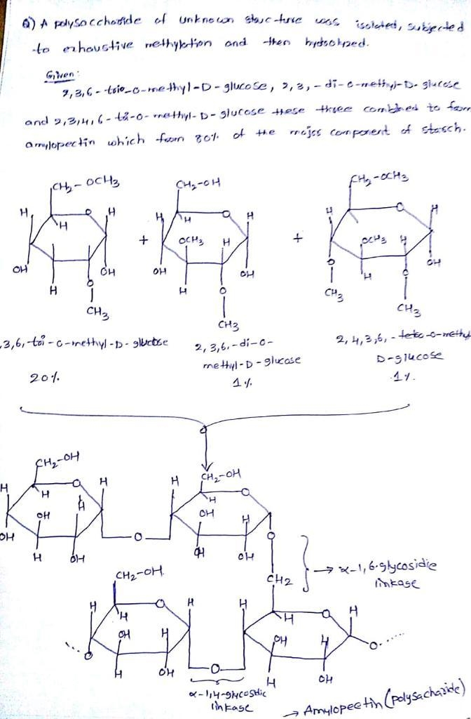 A polysaccharide of unknown structure was isolated, subjected to exhaustive methylation-example-1