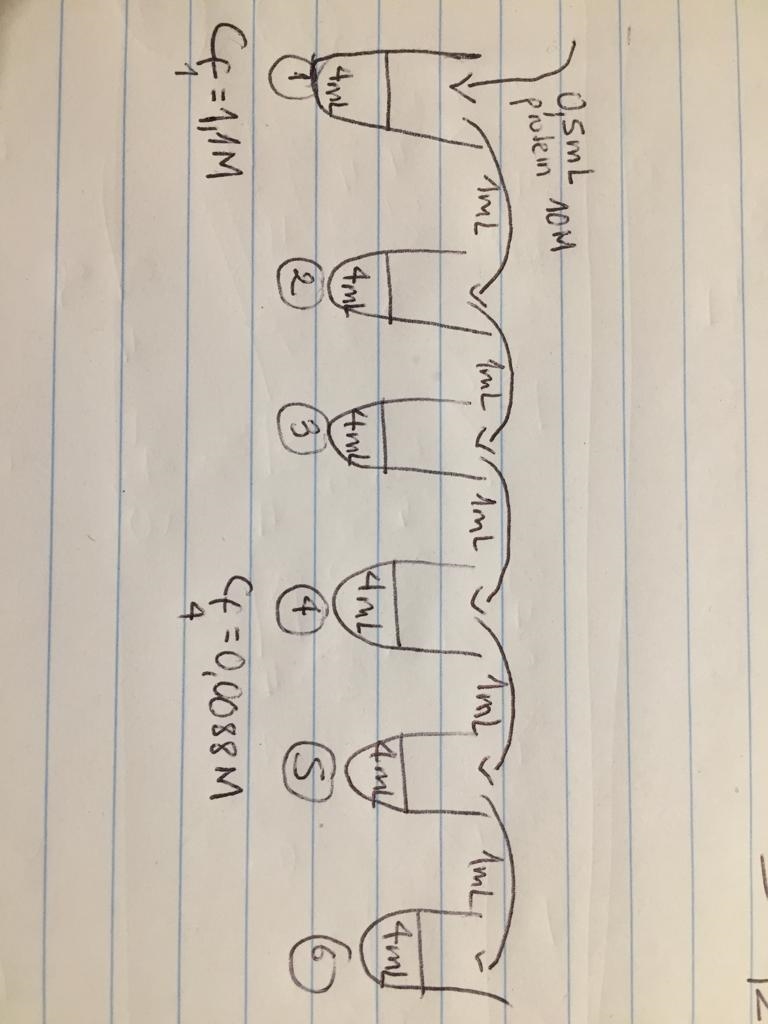 Serial dilution problem: Six test tubes are placed in a rack. To each tube add 4 mL-example-1