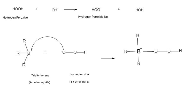 Alkenes can be hydrated via the addition of borane to yield alcohols with non-Markovnikov-example-3