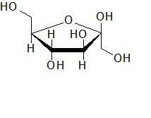 Fructose forms: A. a five-membered cyclic hemiacetal. B. a six-membered cyclic hemiacetal-example-1