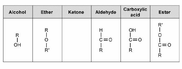 Which structure diagram completes the table of physical structures of the main functional-example-1