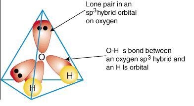 Explain why the HOH molecule is bent, whereas the HBeH molecule is linear. Water, HOH-example-1