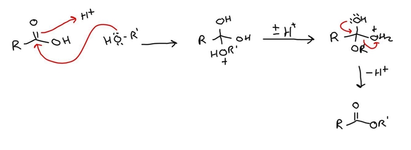 The reaction of carboxylic acids with alcohol in the presence of an acid catalyst-example-1