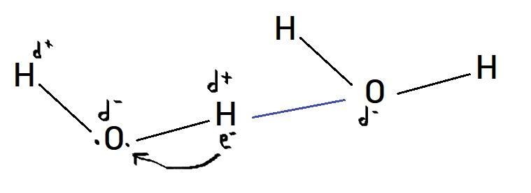 How are hydrogen bonds formed between water molecules? Use a drawing to illustrate-example-1