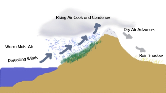 PLEASE HELP ASAP Directions: Think about the rain shadow effect. Explain how the Earth-example-1