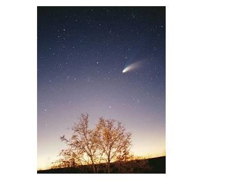 The image in the picture is a comet. What characteristic best identifies it as a comet-example-1