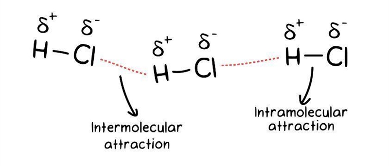 In the image below, the BLACK lines indicate ___ that exist ___ molecules and the-example-1