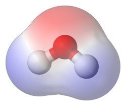 Why does water have a lopsided shape and act like a chemical magnet?-example-1