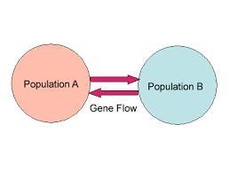 As a biologist, you are researching a population of moles. In the course of your research-example-1