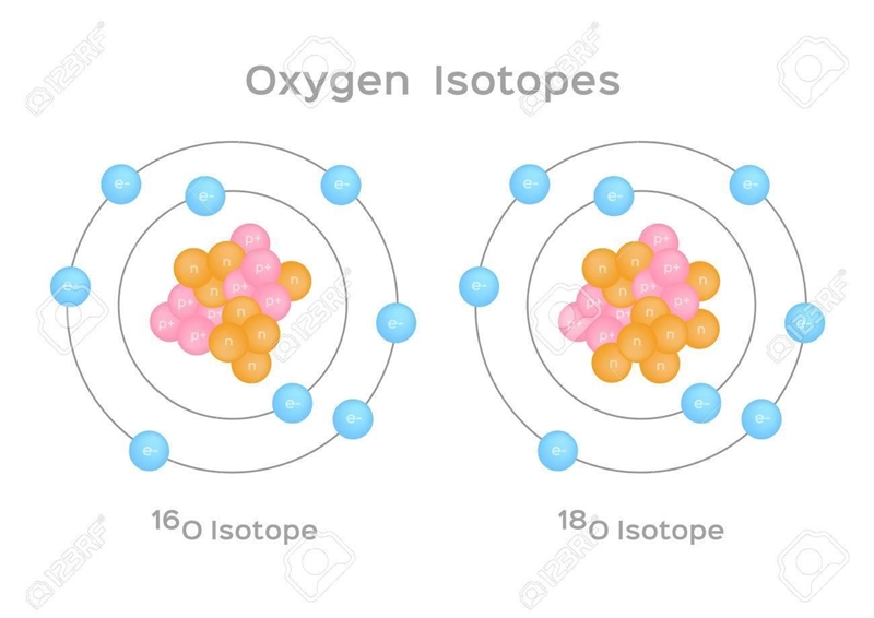 The chemical reaction for photosynthesis is 6 CO2 + 12 H2O + light energy → C6H12O-example-1