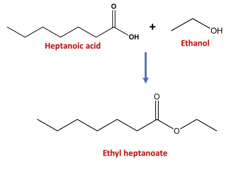 Draw the ester formed by the reaction of heptanoic acid and ethanol.-example-1