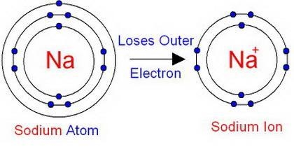 How does an ion differ from an electrically-neutral atom? A) There are a different-example-1