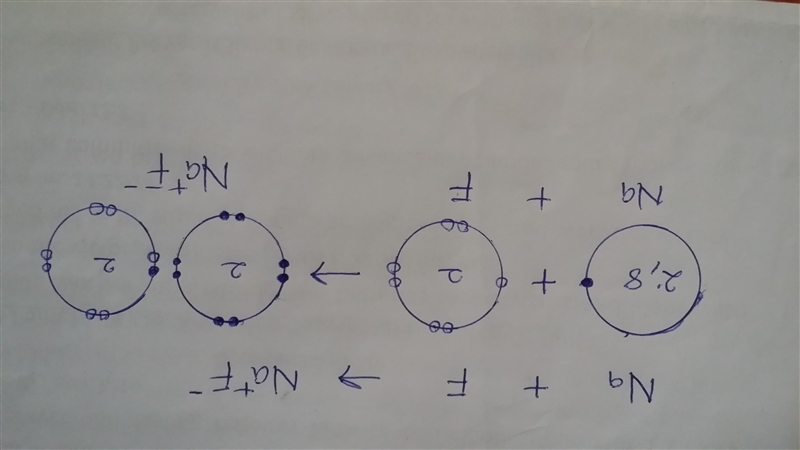 What is the correct way to represent the ionic compound sodium fluoride?-example-1